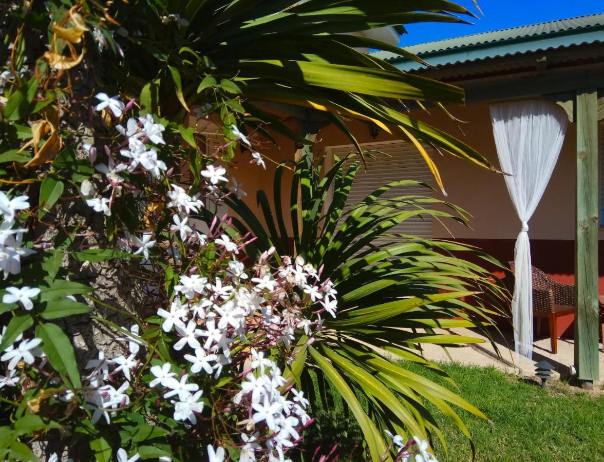 Casablanca El Petit Hotel Deltebre Luaran gambar